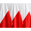 Polska scena polityczna: Nowe wyzwania i kierunki rozwoju